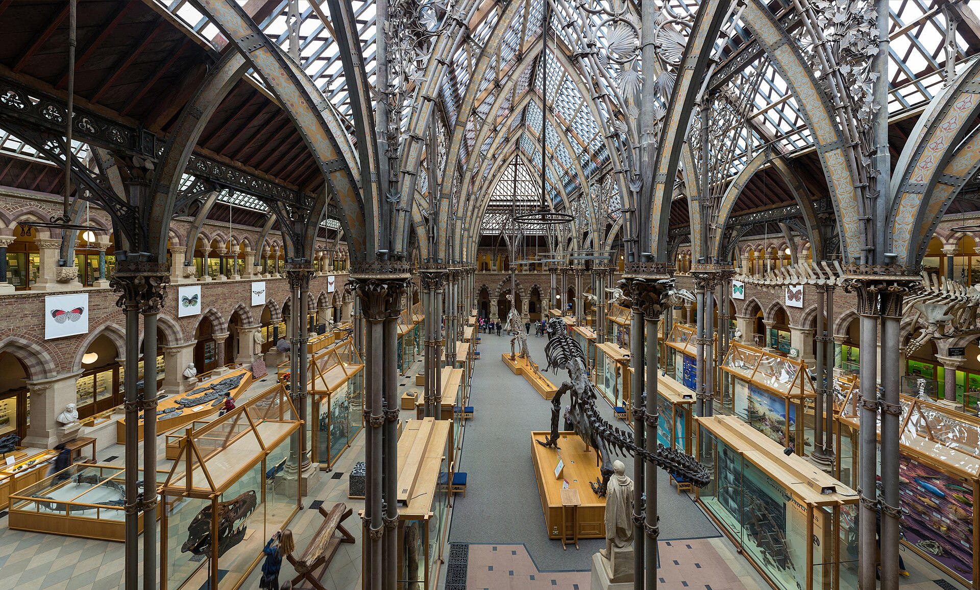 Oxford University Museum of Natural History, Oxford, UK - Diliff