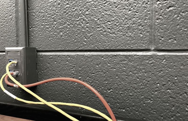 A dense bundle of network cables of different colours, photographed end-on